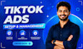 manage a tiktok ads campaign with audience targeting