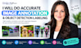 do accurate image annotation and object detection labeling
