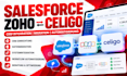 do salesforce, zoho, celigo integration, automatisierung, migration, einrichten