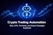 setup dex arbitrage bot, crypto arbitrage bot, solana trading bot