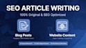 write SEO website content and blog articles