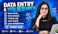 do data entry and web resarch