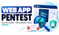 perform web app penetration testing and security audit