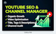 be your youtube channel manager and do seo