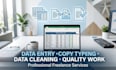 professional data entry fast typing