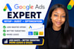 setup and manage your googie ads, google ads audit and optimization