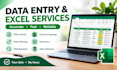 do data entry and excel spreadsheet work