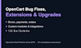 fix bugs, build custom extensions or upgrade your opencart store