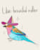 draw you cartoon birds