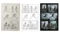 create custom premium comic book art, manga, webtoon art, and comic illustration