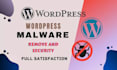 remove wordpress malware and fix hacked website