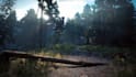 design 3d game environment and level design in unreal engine, unity, blender