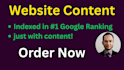 be your SEO content writer and website copywriter