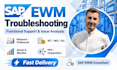 troubleshoot your sap ewm issue and propose a solution