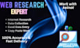 do professional web research and internet research