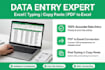 do fast and accurate data entry in excel and google sheets