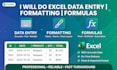 create excel spreadsheets and do data entry
