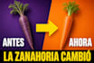 crear video con ia