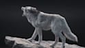 create professional 3d animal and creature animation
