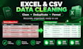 clean, deduplicate, and restructure excel spreadsheet data