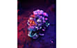 create custom dj visuals, vj loops and concert visuals