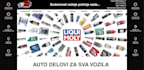 design a professional, fast loading business website