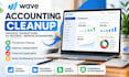 provide wave accounting cleanup and financial organization