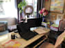 write professional articles and blog posts
