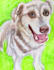 create a personalized portrait of your pet