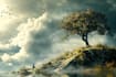 do professional photo manipulation