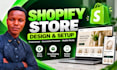 build a high converting shopify dropshipping store