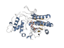 create protein structure and ligand figures in pymol