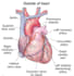do online tutoring for making difficult medical knowledge into easy way