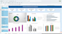 do data entry and dashboards