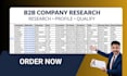 do b2b company research and company profiling