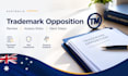 review your trademark opposition, assess risks, recommend next steps