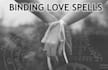 cast powerful love and reconciliation spell for you
