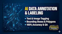 do image, text and data annotation or labeling