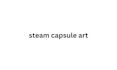 do steam capsule art