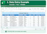 microsoft excel data entry