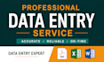 do excel data entry, copy paste and website data entry tasksc