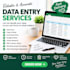 data entry, transcription and translation