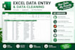 do accurate excel data entry, data cleaning and PDF to excel