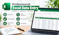do accurate excel data , data cleaning and web search