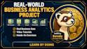 provide a real world business analytics and financial modeling project