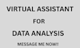 be your virtual asistant or data entry and analysis