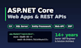 build custom asp net core web applications and rest apis