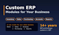 develop custom erp modules and business management software