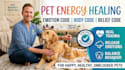 clear subconscious blocks and energy imbalances in your pet using body code