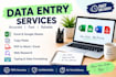 do accurate data entry excel